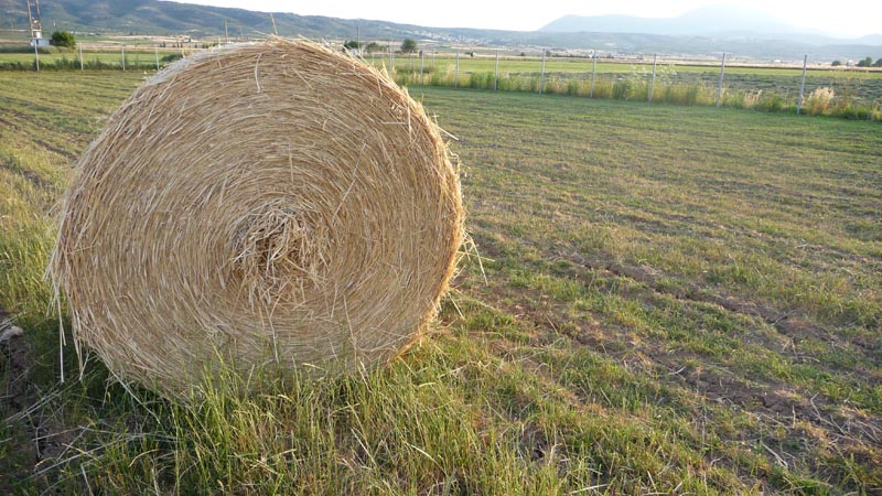 Εγκαταστάσεις αρμέγματος